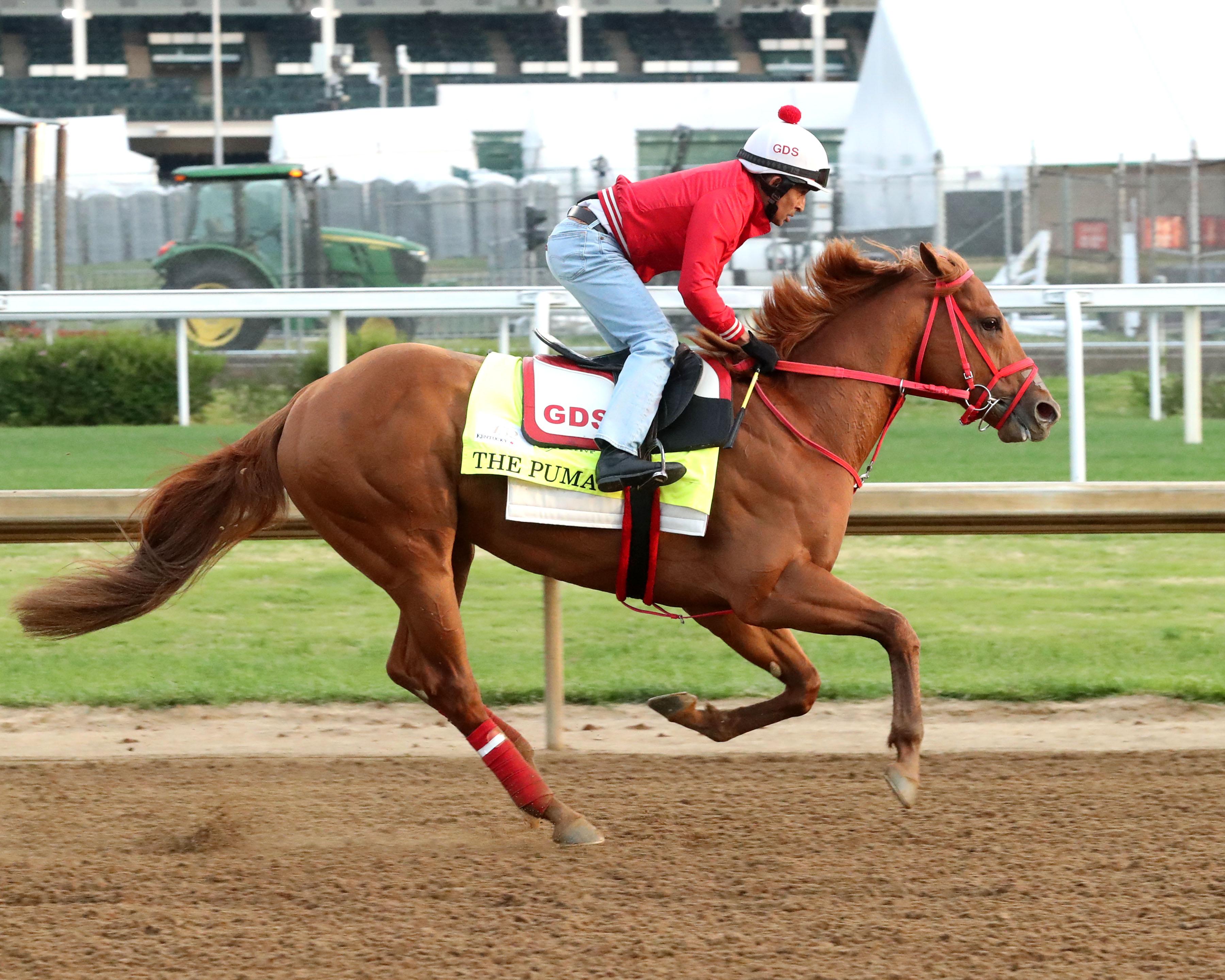 The Puma, Triple Crown, Kentucky Derby, Churchill Downs, horse racing, America's Best Racing, ABR
